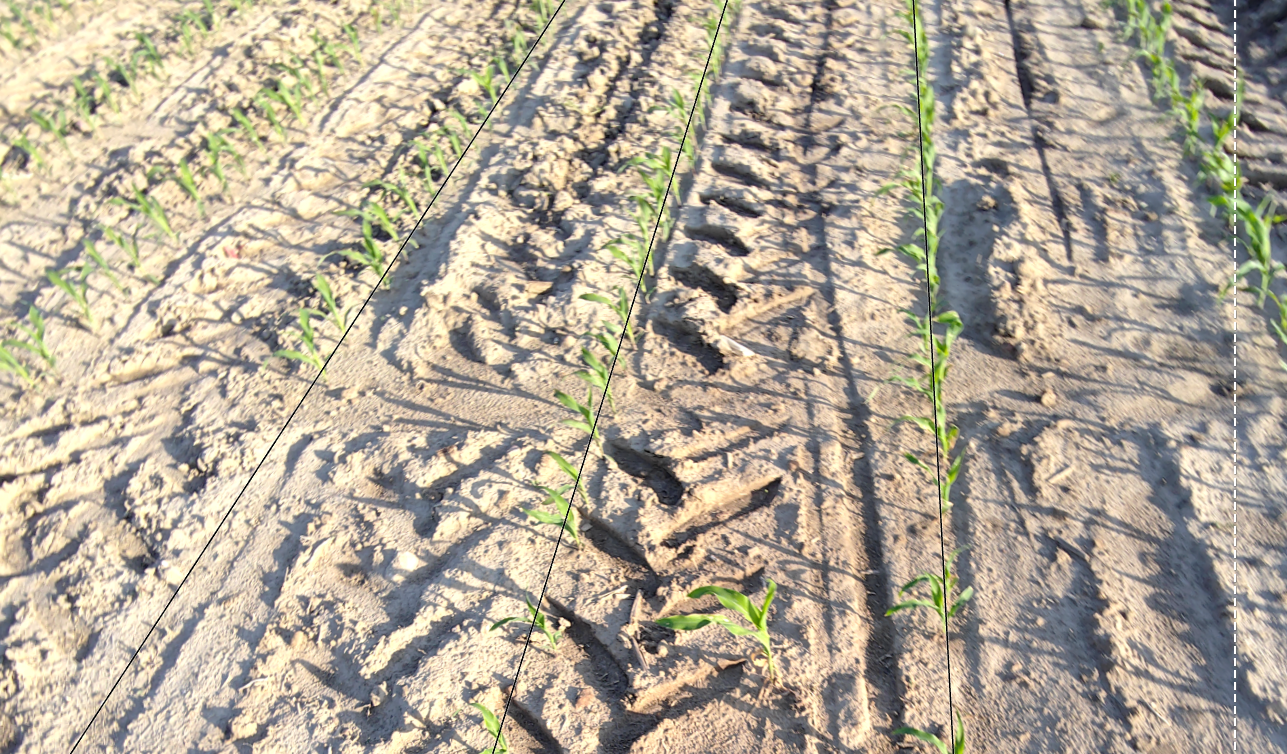 Crop Row Following Model