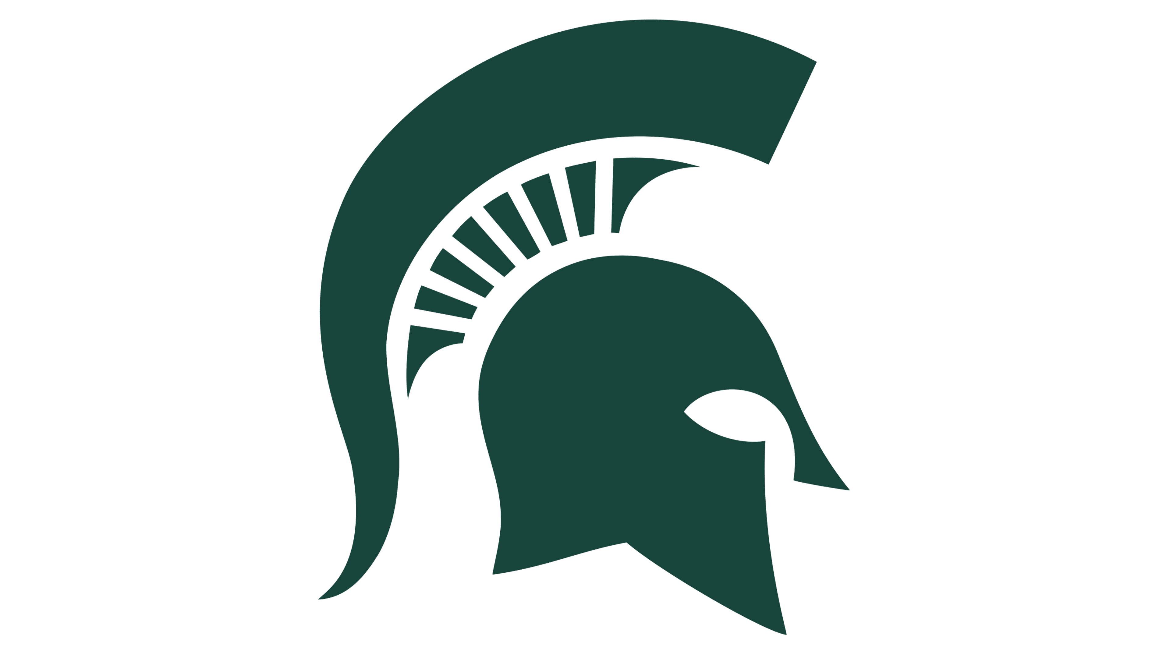 Michigan State University