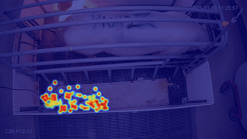 HPCC MMPose Annotation Workflow